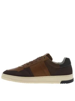 Baskets basses en cuir cognac avec des lacets plats et micro points