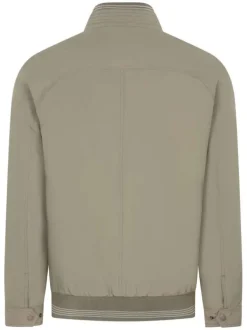 Blouson zippé kaki uni coupe droite avec un col montant et 2 poches à l'intérieur