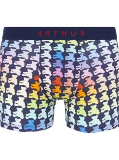 Boxer Classique en coton avec imprimés multicolores et coupe fermée