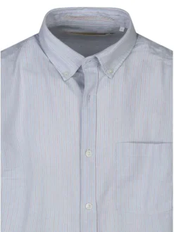 Chemise bleu clair unie avec une coupe droite et à manches longues