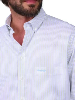 Chemise en coton biologique bleu ciel à rayures et avec une coupe droite
