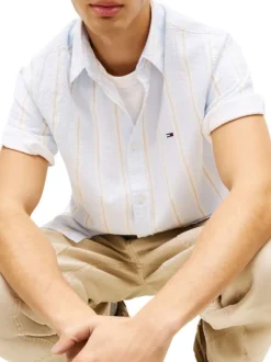 Chemise en coton bleu clair à rayures avec une coupe droite et un col à revers