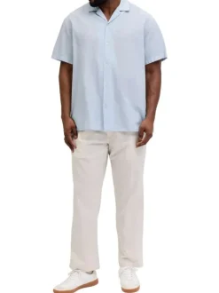 Chemise en coton bleu clair unie pourvue d'une coupe droite