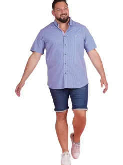 Chemise en coton bleue vichy pourvue d'une coupe droite et d'un col américain
