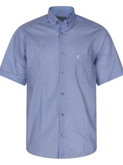 Chemise en coton ciel imprimé avec un col boutonné et une coupe droite