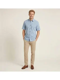 Chemise en coton ciel uni avec une coupe droite et un col à revers