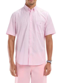 Chemise manches courtes en coton rose rayée à coupe droite avec un col boutonné