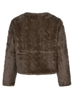 Gilet chocolat uni coupe droite col rond avec des boutons dorés