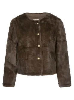 Gilet chocolat uni coupe droite col rond avec des boutons dorés