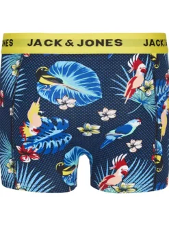 Lot de 3 Boxers classiques en coton multicolores imprimés avec imprimé floral