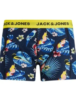 Lot de 3 Boxers classique en coton nuit uni avec une coupe fermée