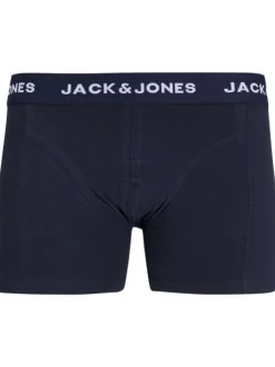 Lot de 3 boxers classiques en coton bleus à imprimé tropical et fleuri
