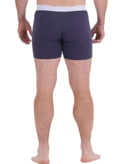 Lot de 2 boxers classiques en coton bleu unis avec une coupe fermée