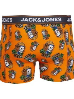 Lot de 3 Boxers classiques en coton multicolore bicolore coupe fermée