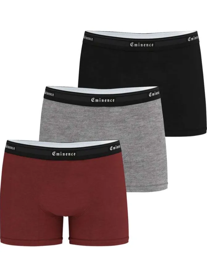 Lot de 3 boxers classiques en coton tricolores avec le nom de la marque