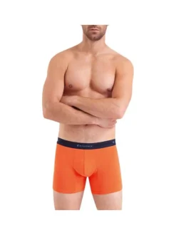 Lot de 2 boxers en coton multicolores unis avec une coupe fermée