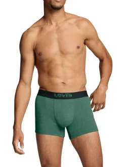 Lot de 2 boxers fermés classiques en coton stretch bleu marine et vert