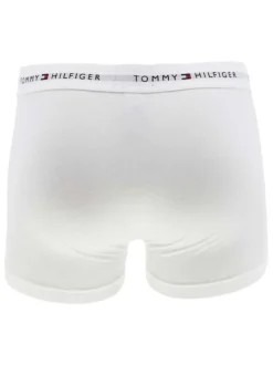 Lot de 3 Boxers trunks en coton biologique mélangé multicolores unis