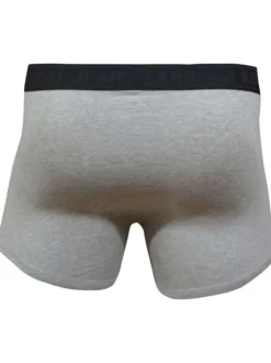 Lot de deux boxers classiques en coton biologique mélangé uni gris et marine à ceinture élastiquée
