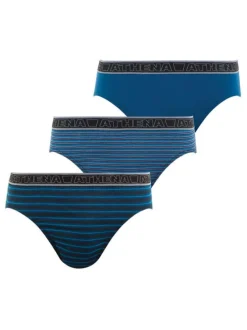 Lot de 3 slips bleus en coton à rayures et taille élastiquée