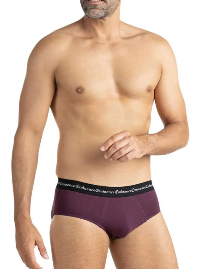 Lot de 3 slips en coton multicolores à motifs avec le nom de la marque