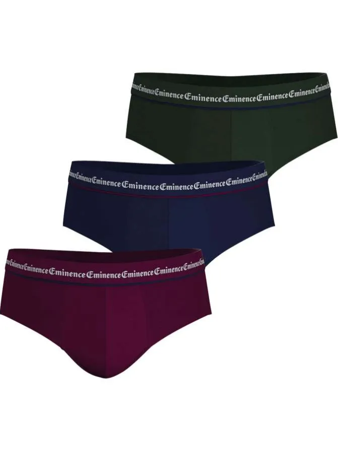 Lot de 3 slips en coton tricolores unis avec le nom de la marque
