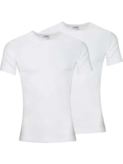 Lot de 2 t-shirts blancs en coton unis coupe droite col rond