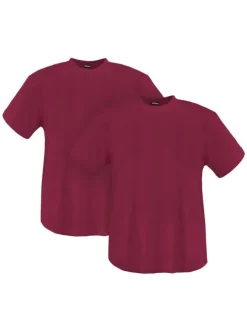 Lot de 2 t-shirts en coton bordeaux unis avec une coupe droite et un col rond