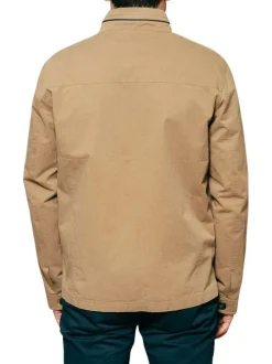 Parka en coton taupe unie avec une coupe droite et un col montant