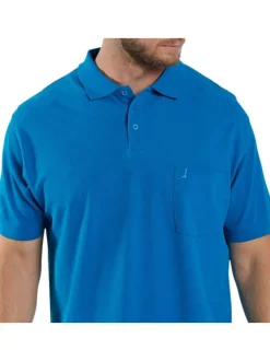 Polo bleu uni en coton avec un col boutonné et une coupe droite