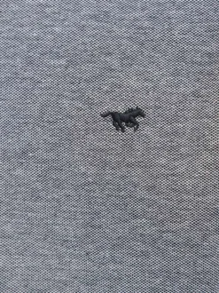 Polo en coton anthracite uni pourvu d'un col boutonné et d'une coupe droite