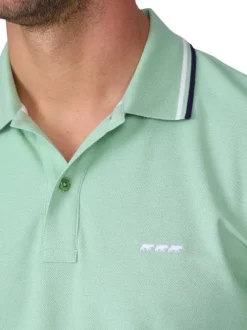 Polo en coton biologique vert d'eau uni avec une coupe droite et un col boutonné