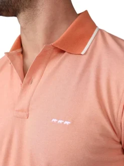 Polo manches courtes rose uni avec une coupe droite et un col à revers
