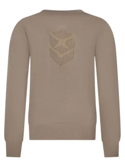 Pull beige à paillettes avec une coupe ajustée et un col v