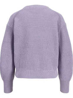 Pull en coton biologique violet pourvu d'un col rond et de manches longues