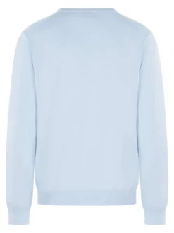 Pull en coton bleu ciel uni avec un col v et le logo brodé à la poitrine