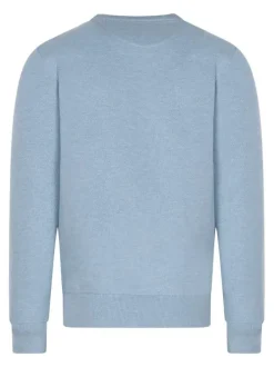 Pull en coton ciel uni avec une coupe droite à col rond et logo iconique