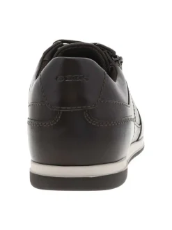 Sneakers en cuir café à semelle à talon plat et à lacets et zip sur le côté