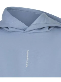 Sweat à capuche ciel uni avec une coupe droite et nom de la marque