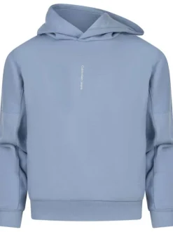Sweat à capuche ciel uni avec une coupe droite et nom de la marque