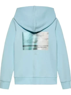 Sweat à capuche en coton bleu ciel avec un imprimé au dos et le nom de la marque