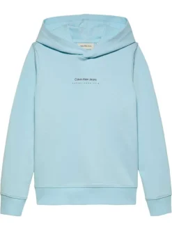 Sweat à capuche en coton bleu ciel avec un imprimé au dos et le nom de la marque