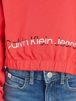Sweat à capuche en coton framboise uni resséré au niveau de la taille