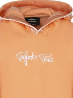 Sweat à capuche pêche uni à coupe droite avec le nom de la marque brodé