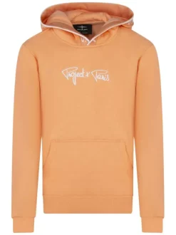 Sweat à capuche pêche uni à coupe droite avec le nom de la marque brodé