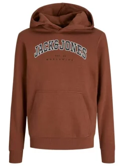 Sweat brique à manches longues uni avec un col à capuche et une coupe droite