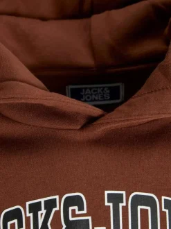Sweat brique à manches longues uni avec un col à capuche et une coupe droite