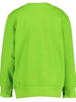 Sweat garçon vert