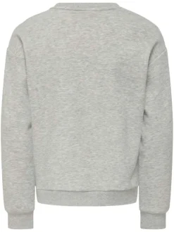 Sweat gris clair imprimé avec des manches longues et une coupe droite à col rond