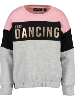 Sweat gris en coton fantaisie col rond